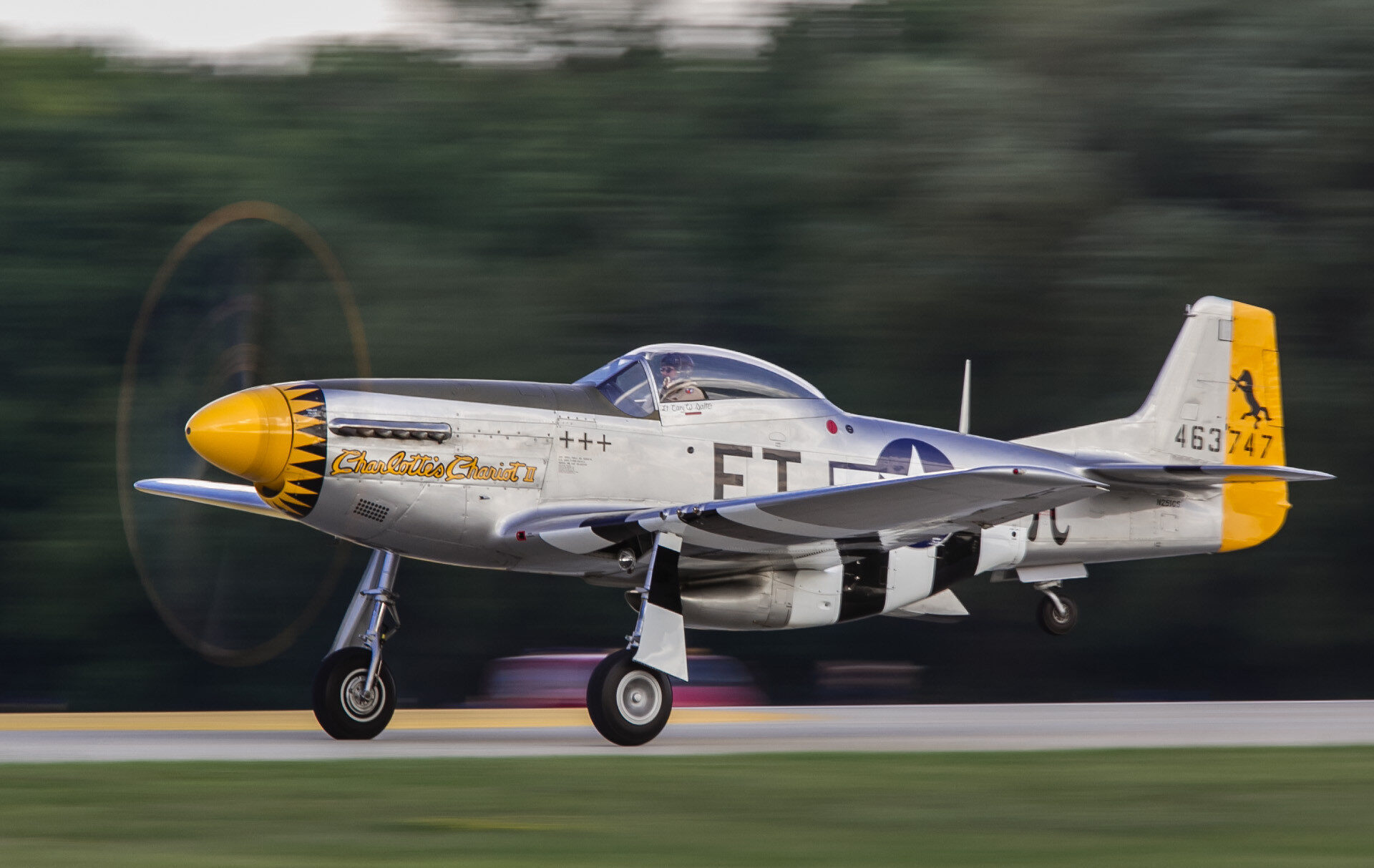 Le P-51D Mustang « Charlotte’s Chariot II », immatriculé N251CS (Photo © Damien Defever pour LEB)
