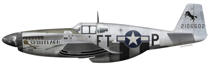 Durant l'été 1944, "Shillelaugh" devient "Shillelagh" et reçoit un nouveau nose-art.Les bandes d'invasion sont retirées de l'extrados des ailes et du haut du fuselage. D'après les photos disponibles, les bandes blanches semblent avoir été assombries afin de rendre l'avion moins visible - une pratique relativement courante dans certaines unités. (Illustration © Gaëtan Marie)