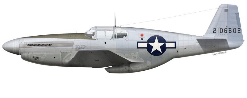 Le P-51B-10-NA, 42-106602 à sa sortie de l'usine North American d'Inglewood, en Californie. Les P-51B-10-NA ont été réceptionnés par les USAAF entre décembre 1943 et février 1944. (Illustration © Gaëtan Marie)