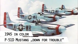 Four P-51D Mustang fly in a line (SFP 186)